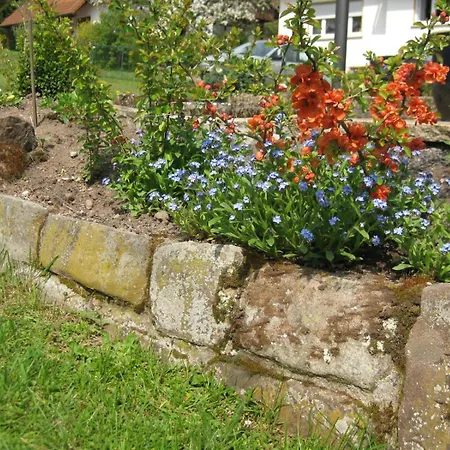 Apartment Haus Muehlgrund *