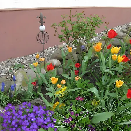 Apartment Haus Muehlgrund Bad Wildbad