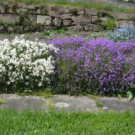 Haus Muehlgrund Apartament