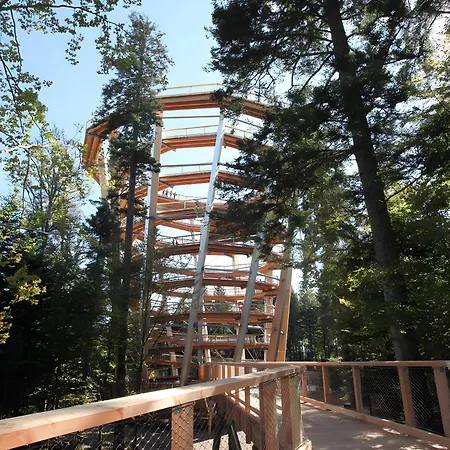 Haus Muehlgrund Apartament Bad Wildbad