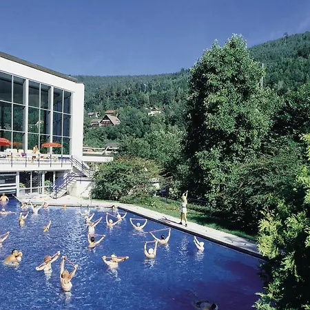 Haus Muehlgrund Bad Wildbad